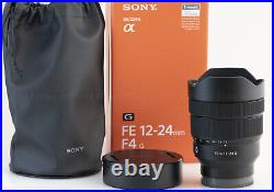 Sony 12-24mm F4 G